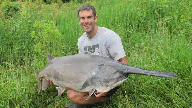 How To Catch Giant Paddlefish with Giant Hooks