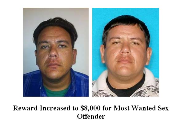 Reward Increased To 8000 For Most Wanted Sex Offender 