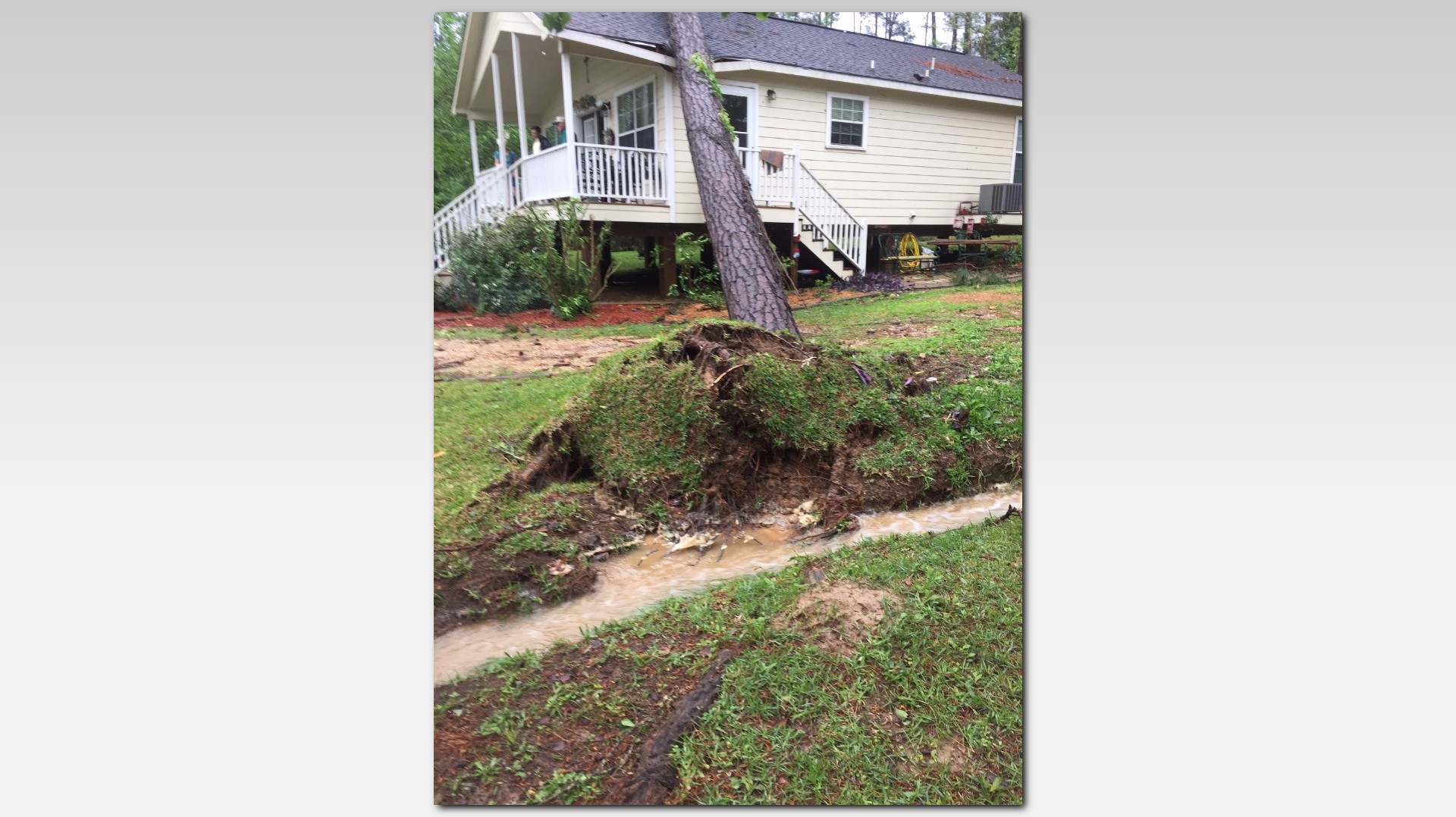Strong storms down trees, flood streets, dump rian, hail on Southeast ...